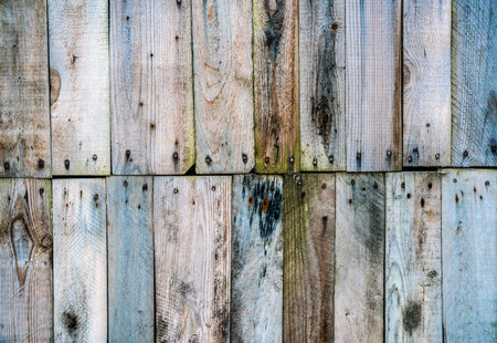 Weathered wooden planks. Old wooden texture timber background