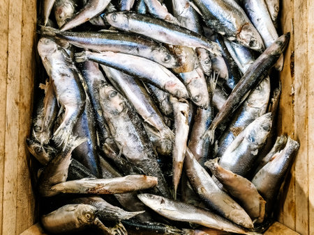 Frozen fish in the supermarket. Quick frozen fishの写真素材