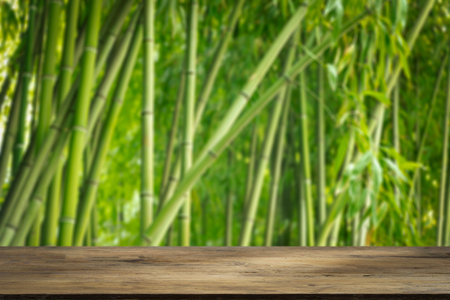 Bamboo forest table. Empty wooden table for product display on green bamboo forest backgroundの写真素材