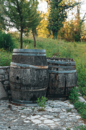 Old wine barrels in the yard of a wineryの写真素材