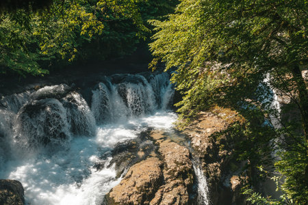 Waterfall lush greenery. Natural landscape with a waterfallの写真素材