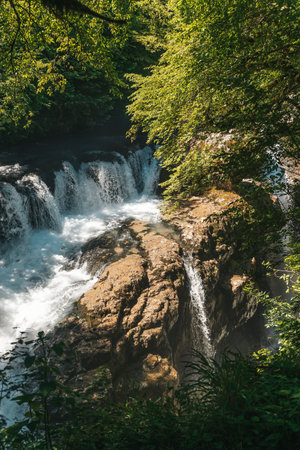 Waterfall lush greenery. Natural landscape with a waterfallの写真素材