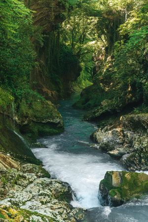 Turquoise River Flowing Through Lush Green Canyonの写真素材
