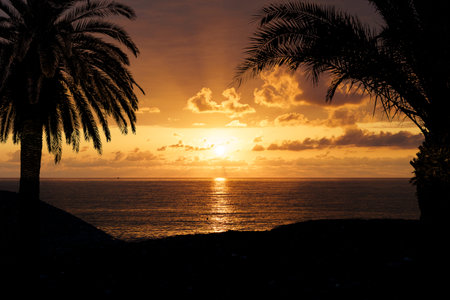 Tropical Sunset with Palm Silhouettes. Exotic Tranquility by the Sea