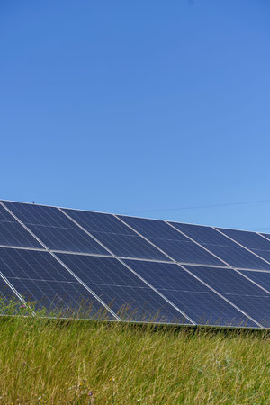 Solar Panels in Summer. Clean Renewable Energy