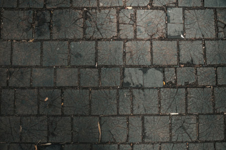 Pathway Texture Outdoors. Design, architecture, idea, conceptの写真素材
