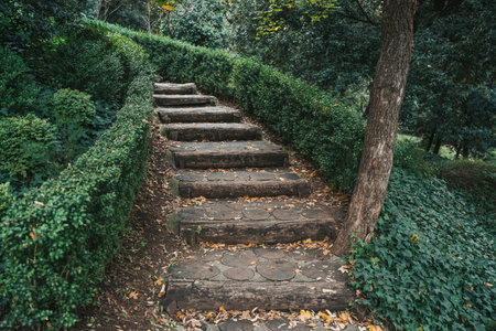 Stone Garden Path. Rustic Steps through Greeneryの写真素材
