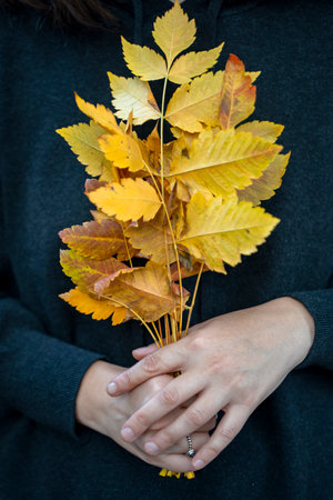 Woman holding a bouquet of yellow autumn leaves, capturing the warmth and beauty of fall. Autumn Mood with Yellow Leavesの写真素材