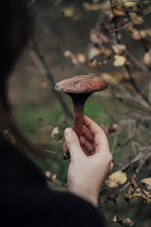 Hand Holding Mushroom in Late Autumn Forest