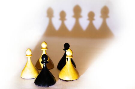 wooden chess piecesの写真素材