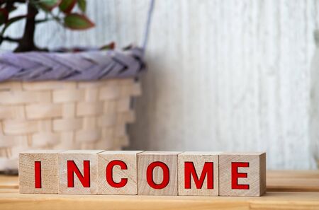 INCOME text written on wooden block with stacked coins isolated on white backgroundの写真素材