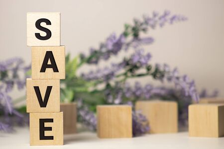 SAVE word written on wood block. Wooden abc.の写真素材