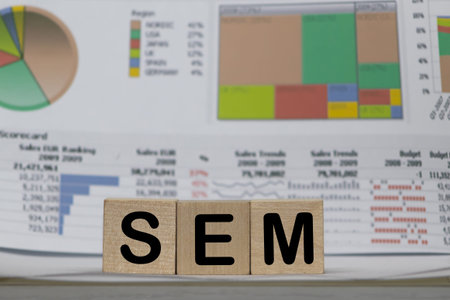3 Toy Wood Blocks With Letters: SEM On a Wooden Table With Light Grey Background