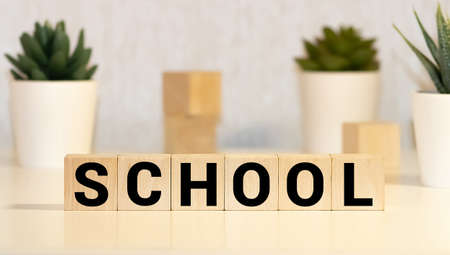 SCHOOL word concept written on wooden cube blocks on a white gray glossy background with reflectionの写真素材