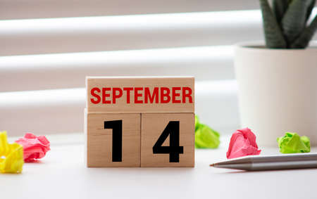 White block calendar present date 14 and month September on white wall backgroundの写真素材