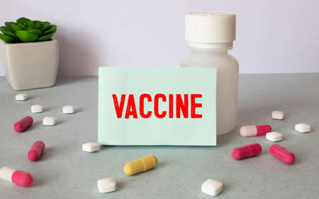 The doctor points to the text VACCINE, medical concept.の写真素材