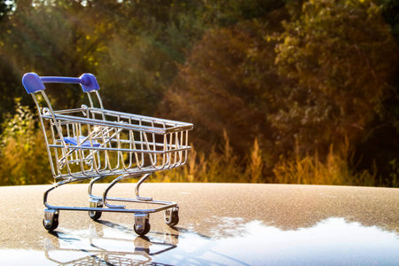 empty shopping cart on green background, concept