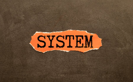 Word System from wooden letters on light gray backgroundの写真素材