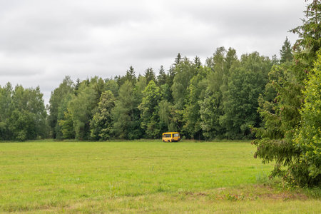 old blue bus standing in the woods
