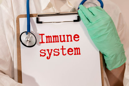 Immune System text on paper card with stethoscope top view on blue background.の写真素材