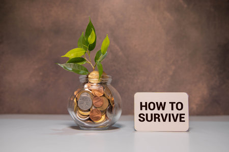 How to Survive text on white card on chart background, background of documents on the tableの写真素材