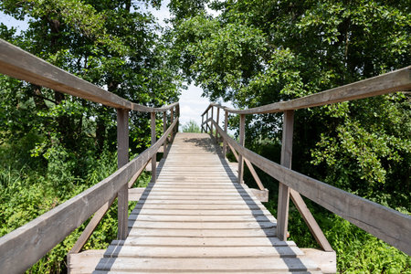 View of a suspension bridge