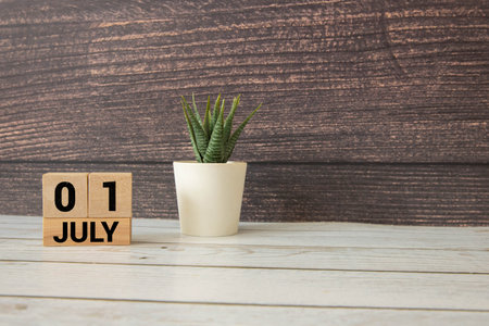 July 1st. Image of july 1 wooden color calendar on white background. Empty space for textの写真素材