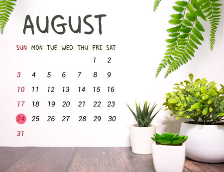 Vintage photo, August 24th. Date of 24 August on wooden cube calendar, copy space for text on boardの写真素材