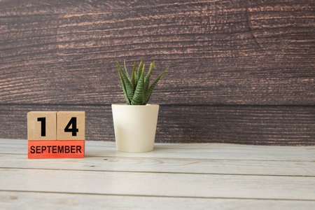 Wooden calendar organizer with date September 14 and decorative plants on tableの写真素材