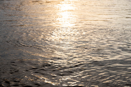 Rippling water surface with sunlit reflections in aquatic environment.