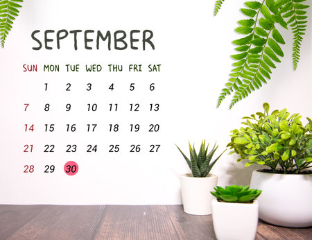 September 30th. September 30 wooden cube calendar with blur objects on background.の写真素材