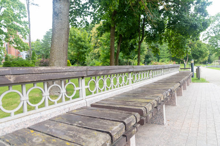A long wooden bench without people in the park in summerの写真素材