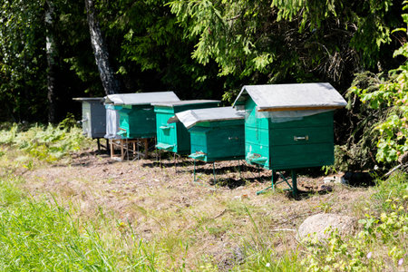 A beehive stands on an apiary. The houses of the bees are placed on the green grass.