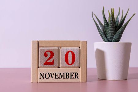 date calendar red and black cubes November 20
