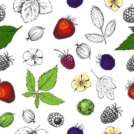 Seamless vector hand drawn pattern with berries. Vitamins. Vintage illustration in style of engraving. Healthy food. Strawberry, flower, raspberry, blackberry, gooseberry. Sketch.のイラスト素材
