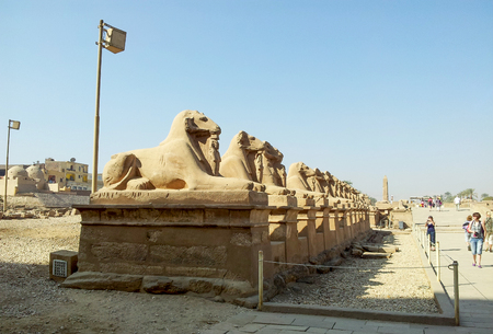 Luxor temple, Egypt. This was the largest temple complex of Amun-Re God in ancient Thebes town.のeditorial素材