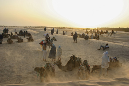 Travel with camel in africa, tunisiaのeditorial素材