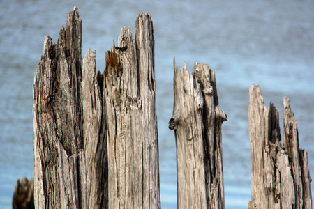 The pier wooden dock with stonesの写真素材