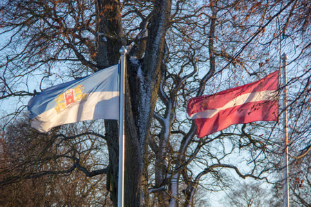 riga city and latvia flag in winterの写真素材