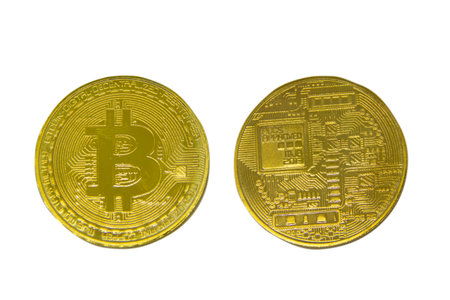 Bitcoin business. Crypto currency gold Bitcoin. New way of business bitcoin currency is payment in...