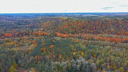 Autumn Landscape View of the Gauja River Surrounded by Forests Colorful Bright Yellow Orange and...