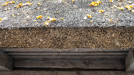 Old Vintage Wooden Fisherman House Roof Details