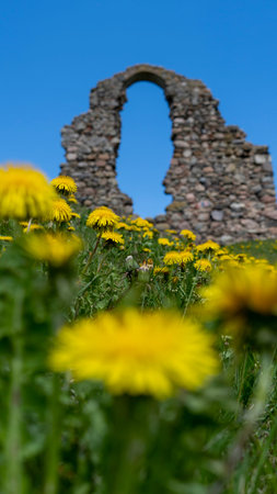 Old Stone Ruins of an Ancient Castle in Rezekne, Latvia. Ruins of the Rezekne Castle Hill With...