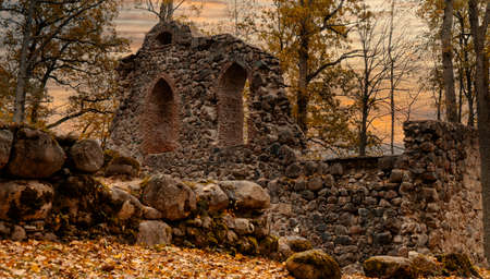Krimulda Palace in Gauja National Park Near Sigulda, Latvia. Krimulda Manor, Rehabilitation Clinicのeditorial素材