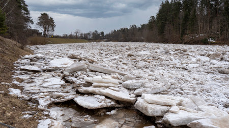 Huge Ice Loads Drift in the River Ogre, Latvia. Congestion on the River in the Spring. A Large Cluster of Moving Ice Blocksの写真素材