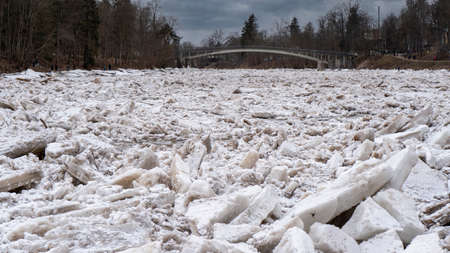 Huge Ice Loads Drift in the River Ogre, Latvia. Congestion on the River in the Spring. A Large Cluster of Moving Ice Blocksの写真素材