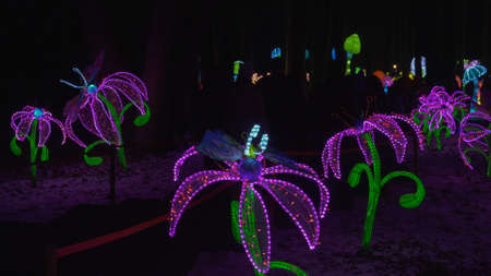 Pakruojis Manor, Lithuania - 8 January 2022: Lantern Sculptures Bring Touch Of Wonderland, a World of Illusions and Magic, Millions of Bulbs in Several Huge Silk Sculptures Charming Characters.のeditorial素材