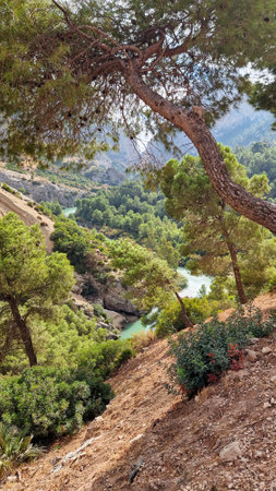 The Kings Little Path. The Famous Walkway Along the Steep Walls of a Narrow Gorge in El Chorro, Andalusia, Spainの写真素材