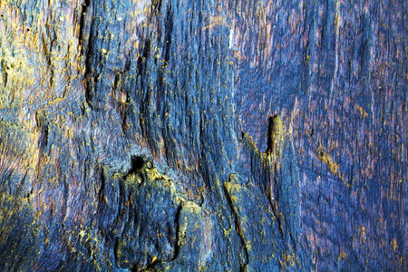 An Image of a wood texture