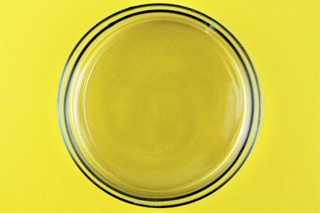 A Petri dish (aka Petrie dish, Petri dish or cell culture dish)の写真素材